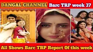 Dangal Channel Barc TRP Report Of week 37 | All Shows Barc TRP This week | S.J SERIAL TALK