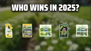 The Top 5 Best Clover Killer in 2025 - Must Watch Before Buying!