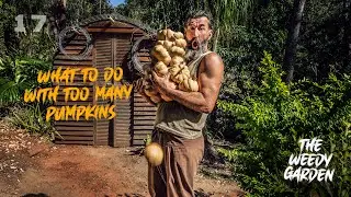THE PUMPKIN ECONOMY - bartering produce