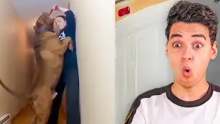 حيوانات مش هتصدق ان هيا موجودة 😱 !!