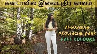 Algonquin Provincial Park 2025 | Lookout Trail | Fall Colours | Canada