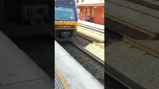 slow the hell down Sydney trains Bathurst bullet Central Sydney terminal endeavour passing Lidcombe