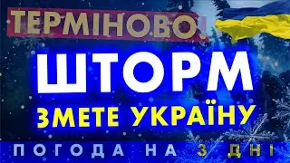 Де чекати на штормові 20 м/с та в якому місті зима зникне на один день? Прогноз погоди 4 лютого