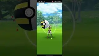 Instinct Games 08: Zygarde registered to the Pok&eacute;dex!