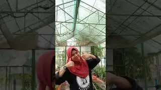 jangan lupa like, komen and subscribe guys🥰#fyp #masukberanda #jedagjedug #jedagjedugviral