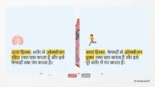 #health #heart #pump #kids #kidney #live #liver #eyes #veins #nirvana 