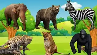 CUTE LITTLE ANIMALS: Cow, Swan, Duck, Cat, Dog, Frog, Elephant, Monkey, Sheep, Tiger, Lion, Bear