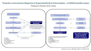 Towards a more precise diagnosis of hypersensitivity to beta-lactams - an EAACI Position Paper