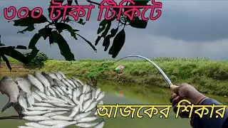 ৩০০ টাকা টিকিটে প্রচুর মাছ ধরলাম | hook fishing video | বাটা মাছের চার