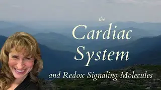 Cardiac System and Redox Signaling Molecules