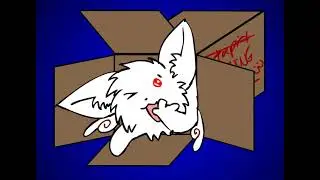 cats sliding into a box