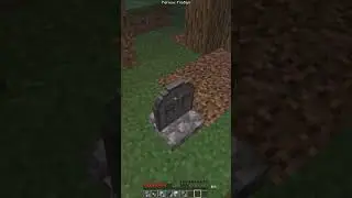 Я СЫГРАЛ НА СЕРВЕРЕ БИСКАСА В МАЙНКРАФТ🎮|| @Wicsur || Netron || Minecraft || #shorts #minecraft
