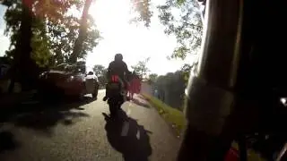 zonnig herfstritje in rustig tempo