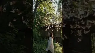 Nature Whispers Forest ASMR  #NatureWhispers #nature #forestasmr  #asmrshorts