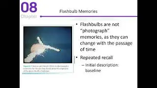 Cognitive Psychology Chapter 8 Lecture