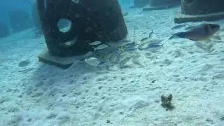 Racha Yai Scuba Diving Phuket