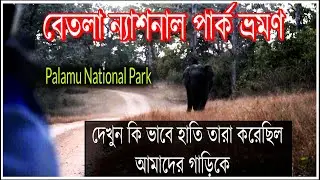 Betla National Park II Palamau Tiger Reserve Jharkhand II Betla Forest II SRIIND MOVIES