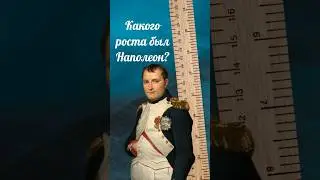 Был ли Наполеон коротышкой? #история #history #факты #наполеон #бонапарт #рост #франция #император
