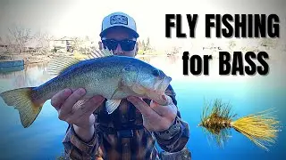 URBAN FLY FISHING for winter BASS!