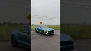 Colorshift mustang doing burnout