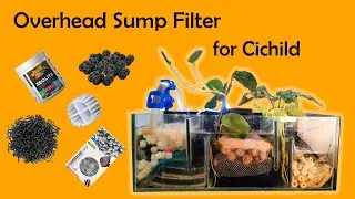 Overhead Sump Filter Setup for 2.5 feet tank