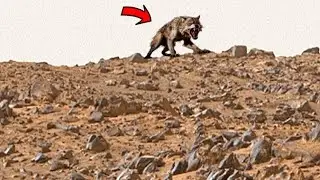 How Perseverance Rover is Unlocking Mars&rsquo; Ancient Secrets On Mars Sol: 1491