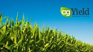 Introducing AgYield Insurance Services: Comprehensive risk management reimagined.