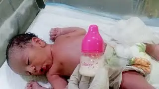Newborn Baby Full Sucking First Time Starting Formula Feeding Strong Feeding Reflex & Healthy Start🍼