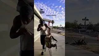 Las Vegas package thief #lasvegas