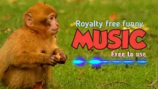 Royalty free fun background music (Fluffing a Duck)_Free to Use _BEST OF CFM 2022