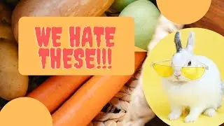10 Unsafe Foods for Rabbits