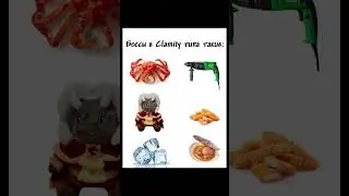TERRARIA MEMES // BOSSES IN CALAMITY BE LIKE #terraria #memes #calamity
