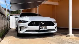adding coyote badge on 10 SPEED mustang 5.0 🔥🐺 #mustang #cars #vlog