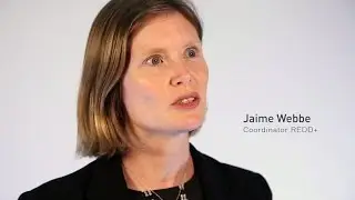 UNEA2 and a shift in Environmental Diplomacy