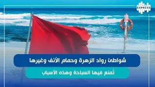 نفوق أسماك في عدد من الشواطئ التونسية ماهي الأسباب؟
