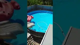 Альгицид и Коагулянт