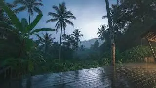 Comfort Sleep Ambience: Rain & Thunder Tropical Cabin Night 🌧️