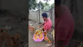 Fish fry bread
