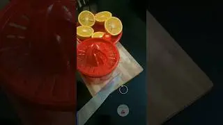 Orange Juice | How To Make Fresh Orange Juice Using Manual Citrus Juice Squeezer | Kinnow