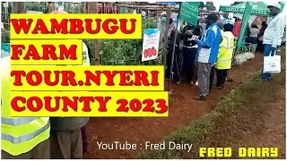 WAMBUGU FARM TOUR-NYERI COUNTY