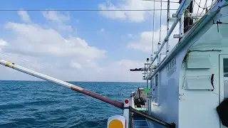 01-17-26 Taiwan fishing boat operation on catch king mackerel using artificial bait #live