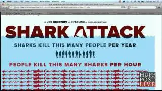 Total Shark Deaths an Hour Raises Eyebrows! | HPL