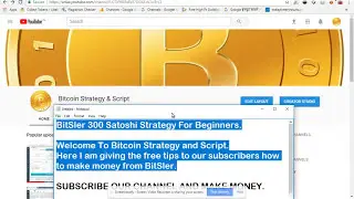 300 Satoshi BitSler 2024 Secret Strategy Double 300 Faucet Balance Growth Safe Strategy No Script