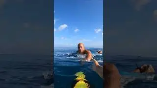 POV: Surfing Pipeline with Kelly Slater