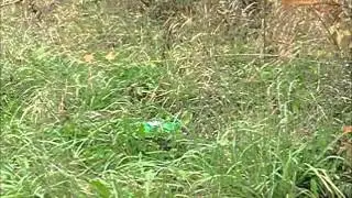 EPIC SODA BOTTLE EXPLOSION SUPER HAPPY FUN TIME