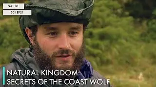 Natural Kingdom: Secrets of the Coast Wolf