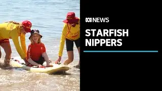 The surf life saving program helping kids with disabilities to hit the water safely | ABC News