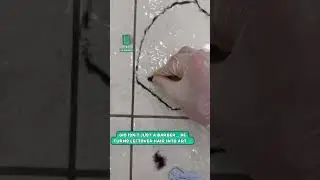 Drawing a spider with hair