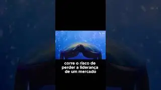 Os concorrentes da Meta est&atilde;o prontos para DOMINAR o VR!