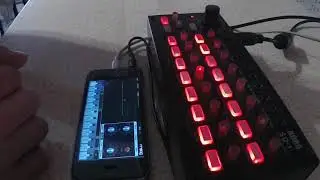 Animoog & Korg Sq1